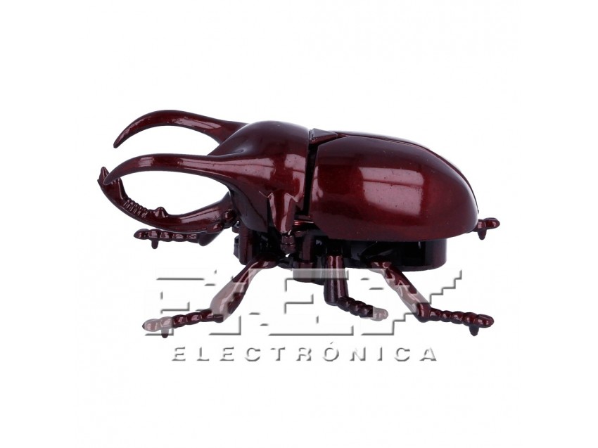 Escarabajo Ciervo Juguete Insectos Rojo Coleoptero