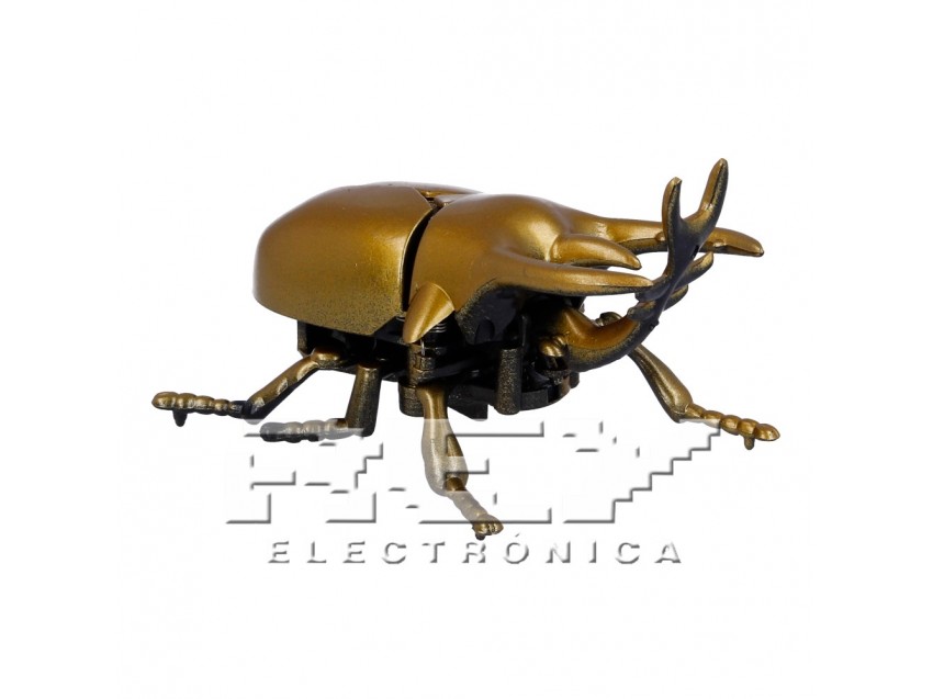 Escarabajo Rinoceronte Imitación Insectos Dorado Coleccion