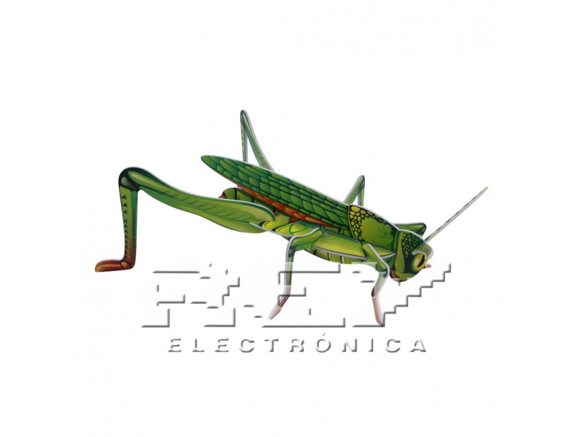Puzzle 3D Saltamontes Insecto Verde Decoración Coleccion